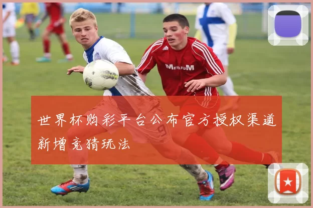 世界杯购彩平台公布官方授权渠道新增竞猜玩法